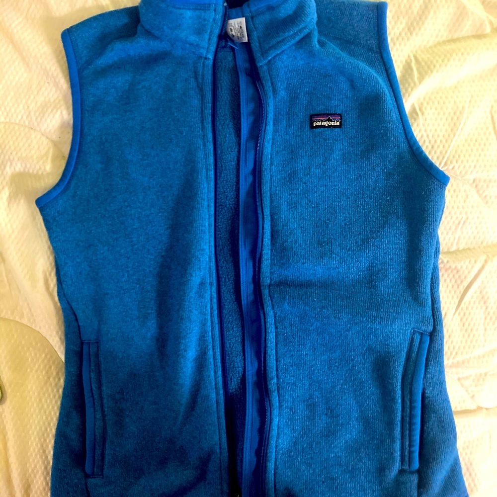 Patagonia jacket vest